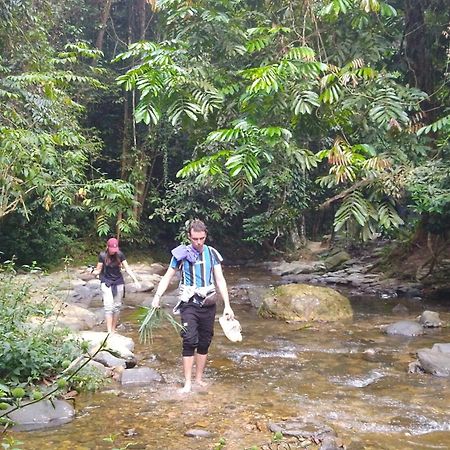 Pongo Guest House & Jungle Trekking Bukit Lawang Exterior foto