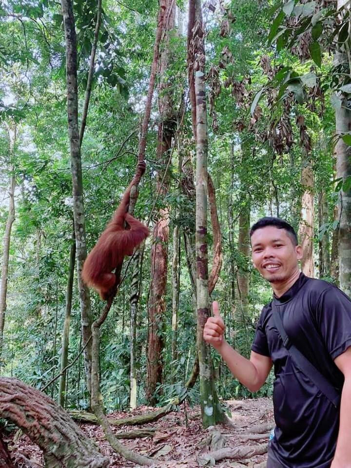 Pongo Guest House & Jungle Trekking Bukit Lawang Exterior foto
