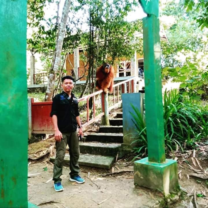 Pongo Guest House & Jungle Trekking Bukit Lawang Exterior foto