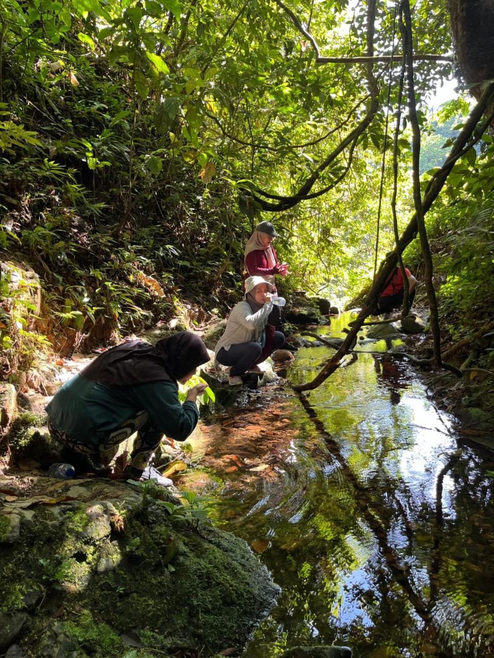 Pongo Guest House & Jungle Trekking Bukit Lawang Exterior foto