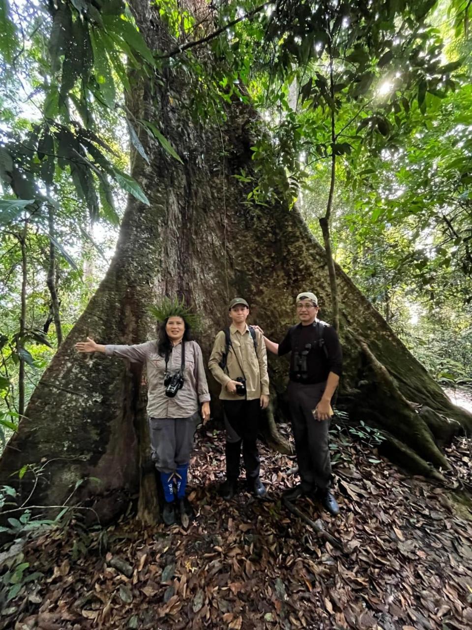 Pongo Guest House & Jungle Trekking Bukit Lawang Exterior foto
