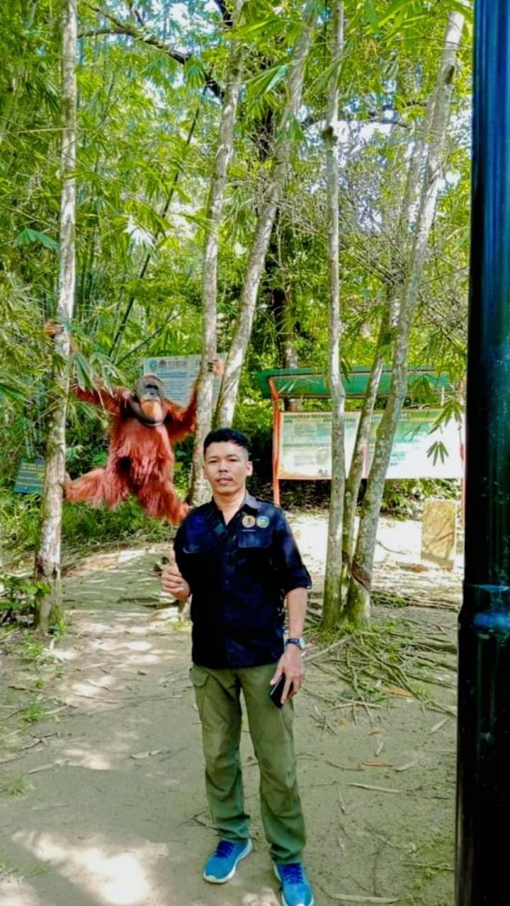 Pongo Guest House & Jungle Trekking Bukit Lawang Exterior foto