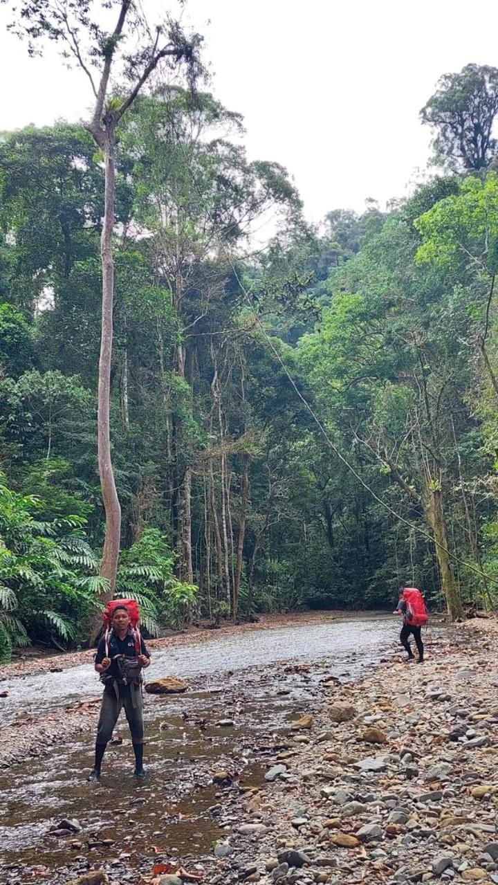 Pongo Guest House & Jungle Trekking Bukit Lawang Exterior foto