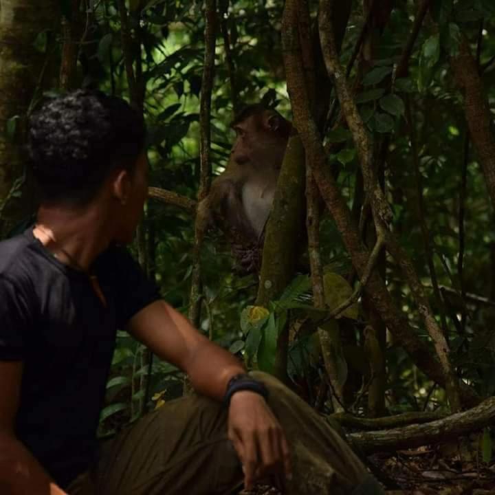 Pongo Guest House & Jungle Trekking Bukit Lawang Exterior foto