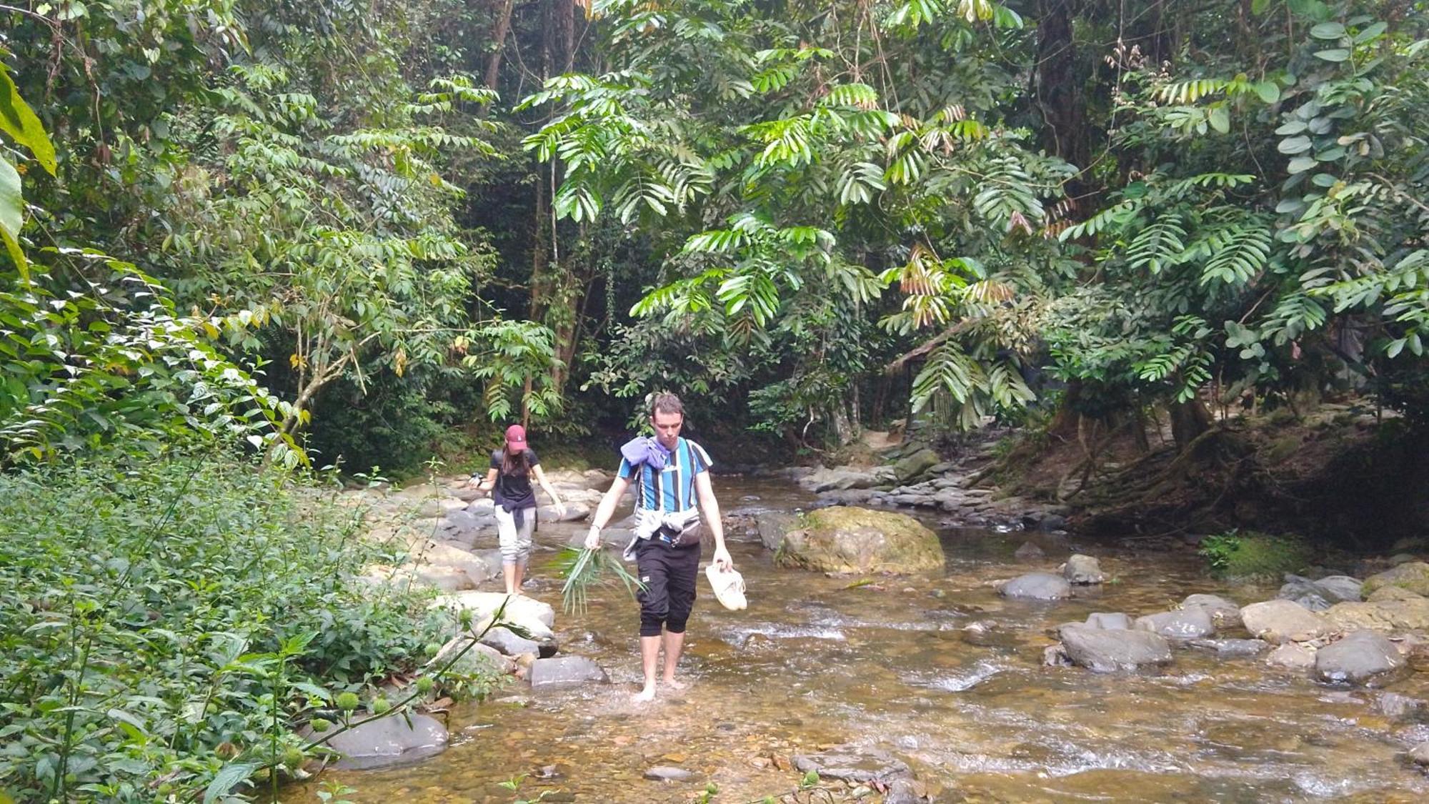 Pongo Guest House & Jungle Trekking Bukit Lawang Exterior foto