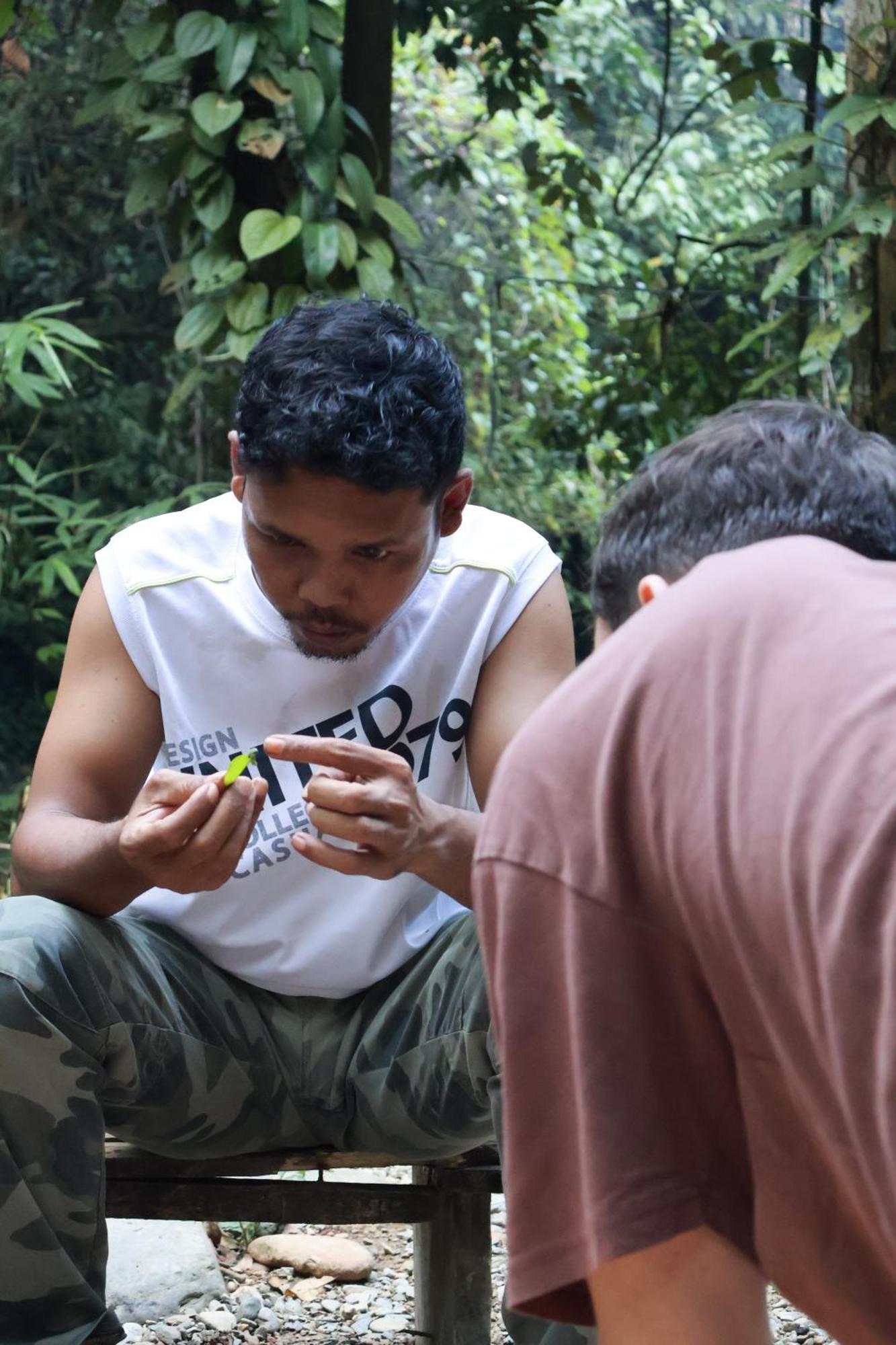 Pongo Guest House & Jungle Trekking Bukit Lawang Exterior foto