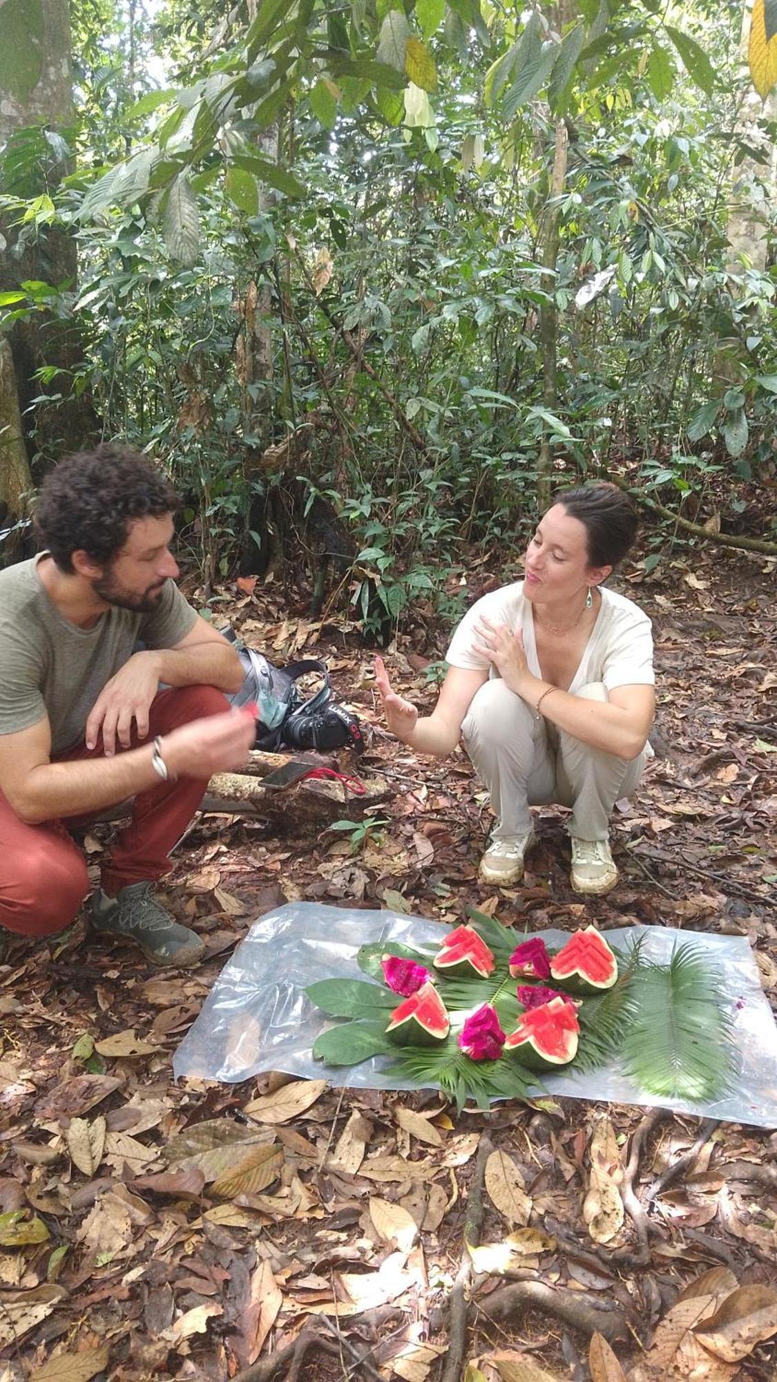 Pongo Guest House & Jungle Trekking Bukit Lawang Exterior foto